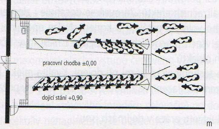 Obr. 1a: Rybinová dojírna s rychlým přístupem (BOUŠKA et al., 2006) Obr. 1b: Rybinová dojírna klasická (BOUŠKA et al., 2006) 3.2.4.