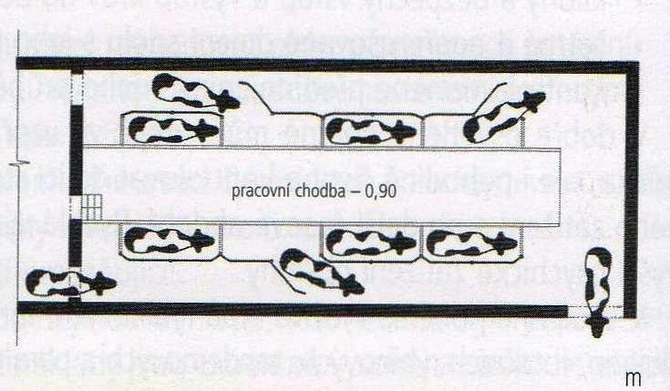 Obr. 2: Tandemová dojírna (BOUŠKA et al., 2006) 3.2.4.3 Paralelní dojírna (side by side) Je to typ dojírny, který je při malé kapacitě velmi výhodný pro minimální potřebu obestavěné plochy.