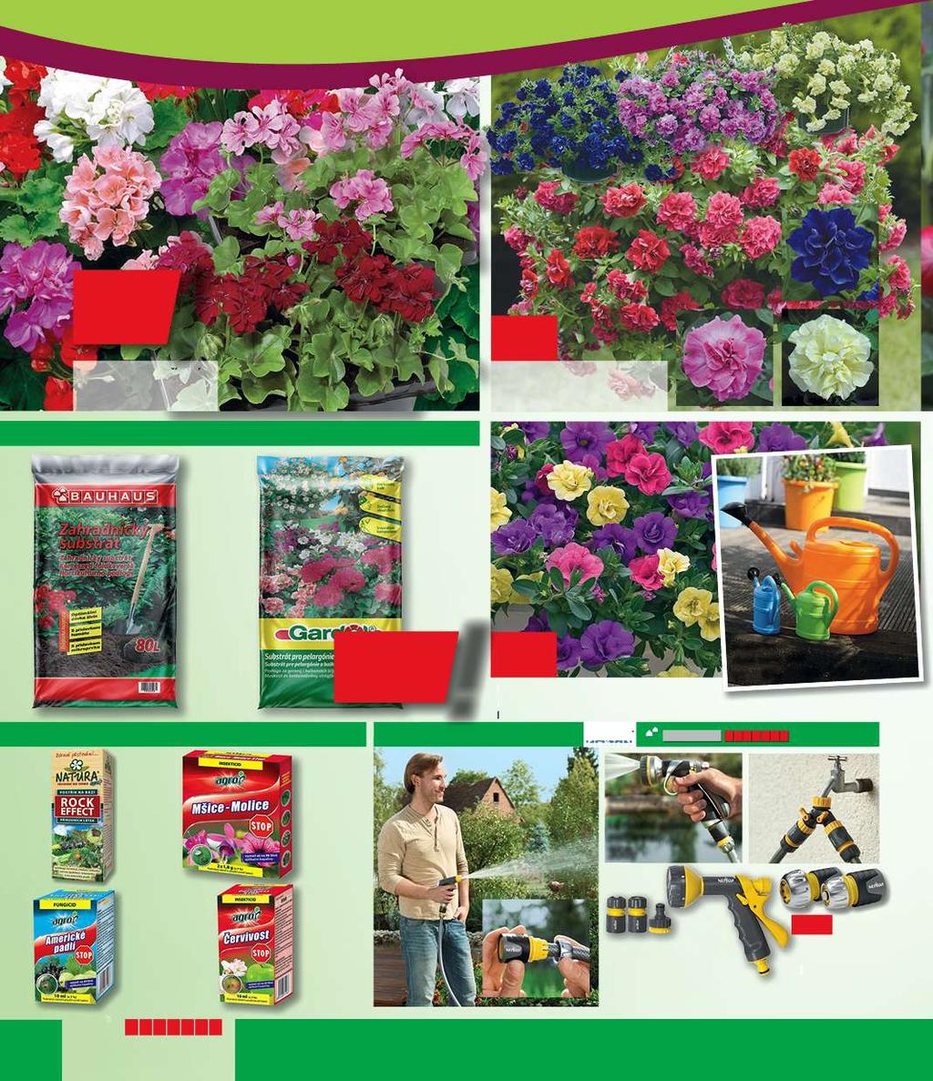 Značka kvality košík 4 ks 99,- Muškáty převislé, vzpřímené Pelargonium peltatum, zonale kompaktní rostliny, mix barev Plnokvěté petunie Petunia Tumbelina košík 6 ks, plnokvěté převislé petunie,