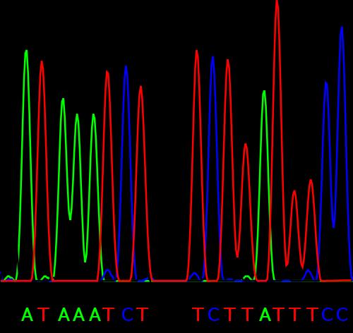 1.1 Sekvence DNA Sekvence DNA neboli genetická sekvence je posloupnost několika set až miliardy symbolů, které představují primární strukturu vlákna DNA.