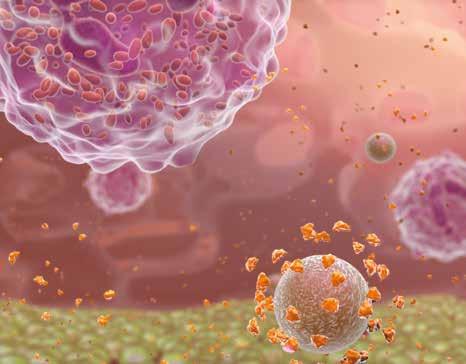 Čtvrtek 18. 5. 2017 SÁL PRAHA: Symposium ZIMMER BIOMET 12.30 13.