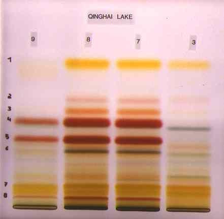 Dvourozměrná TLC Planární chromatografie Vyvíjení chromatogramu první mobilní fází otočení usušené destičky o 90 st.