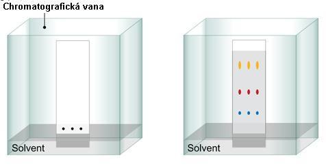 CHROMATOGRAFIE Metoda založená na rozdílné afinitě dělených látek ke stacionární (nepohyblivé) a mobilní (pohyblivé) fázi (SF, MF) Princip: Mobilní fáze proudí přes nosič nebo kolonu, obsahující