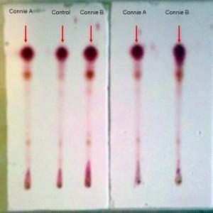Praktické aplikace chromatografických technik v klinické biochemii - příklady Tenkovrstvá chromatografie