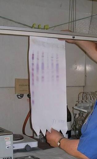 (sloupcová) - SF (silikagel, polymer, ) tvoří náplň kolony - nebo nanesena nebo chemicky