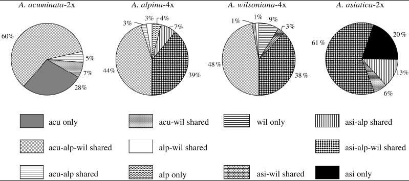 Studium hybridizace a polyploidní evoluce Guo Y.-P. et al.