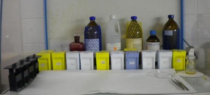 22 barvení a odvodňování Chemické látky doba [min] Bioclear 30 Bioclear 30 etanol (96 %) 15 etanol (96 %) 15 Safranin + Astra Blue 15