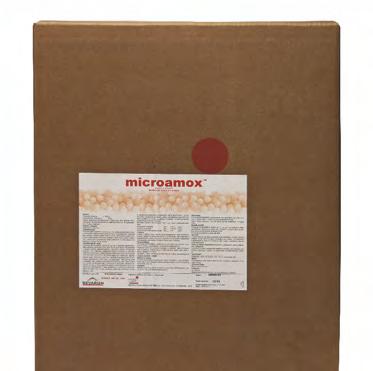 MICROAMOX 300 mg/g Lokální a septikemické infekce prasat způsobených grampozitivními a gramnegativními bakteriemi citlivými na amoxicilin.