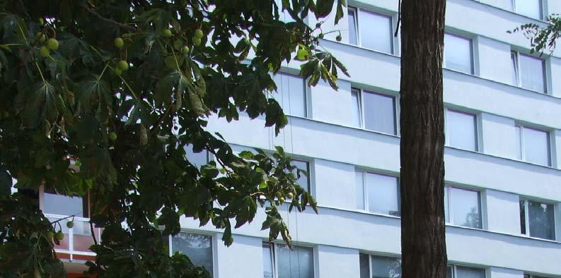Většina zahraničních studentů je