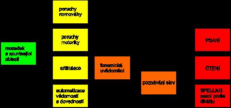 d) cerebelární teorie výzkum mozečku, který popisuje, jak se mozeček podílí nejen na koordinaci, ale i na automatizaci dovedností.