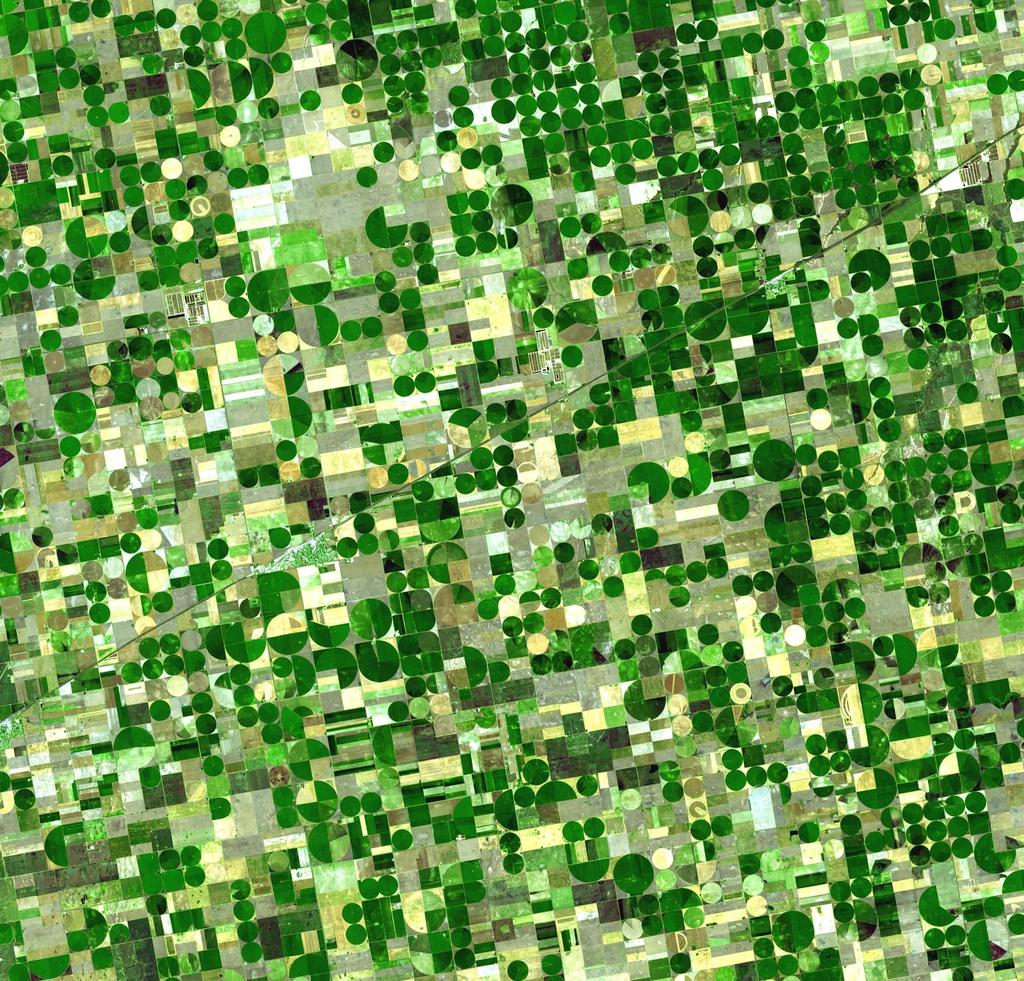 Satellite image of circular crop fields characteristic of center pivot irrigation in Kansas (June 2001). Healthy, growing crops are green. Corn would be growing into leafy stalks by late June.