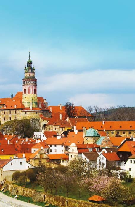Partneři