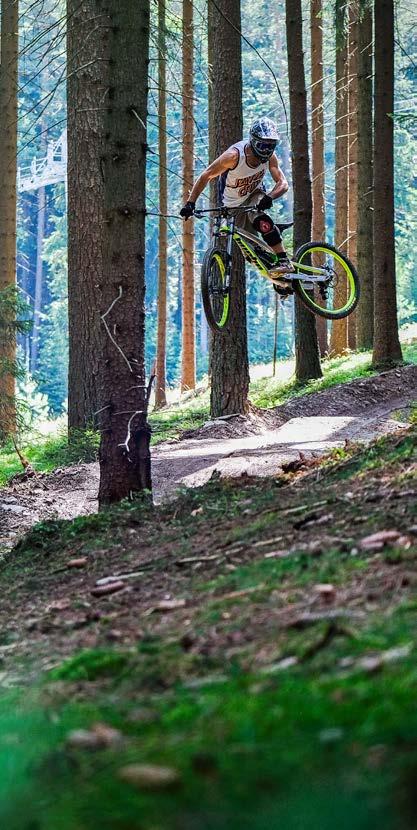 Bikepark Lipno Be in be biker Na třech kilometrech stavitelé připravili množství skoků, klopenek a dřevěných lávek.
