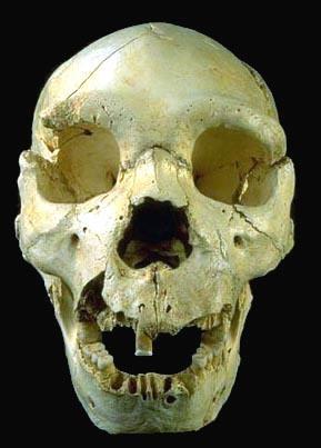 Geny a lidská evoluce Při vzniku prvních pokročilých lidských forem, Homo heidelbergensis, se uplatňovaly jak geny ovlivňující růst skeletu (HOX) tak růstu mozku