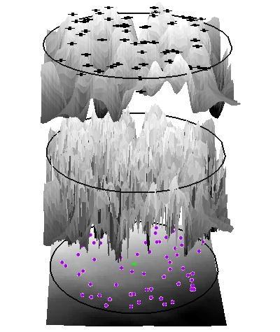 Obr. 3. Grafická ukázka dat použitých k výpočtům na ploše č. 5 - dole DMT s polohami zaměřených kmenů, uprostřed DMP, nahoře výsledný CHM (model výšek porostů) vč. detekce vrcholů 4.