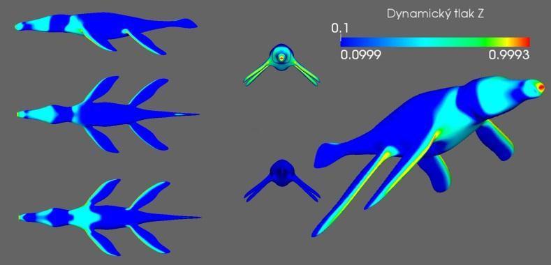 např. Elasmosaurus, nalezený v Kansasu. Je popsán také téměř stejně dlouhý rod Hydrotherosaurus z Kalifornie, v Austrálii pak rod Kronosaurus.