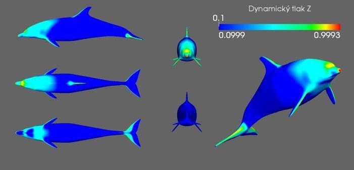 Fosilní rod Delphinus je znám jiţ z oligocénu západni Evropy a z miocénu Severní Ameriky, dále pak z pliocénu západní Evropy a východní Asie. Rod Physeter macrocephalus je znám od spodního miocénu.