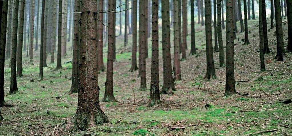 S úrodou se odvezou živiny a pokud by se nedoplňovaly, po několika sklizních se