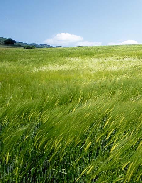Vydavatel: Sächsisches Staatsministerium für Umwelt und Landwirtschaft (Saské státní ministerstvo životního prostředí a zemědělství) Postfach 10 05 10, 01076 Dresden Sbor pro občanské záležitosti