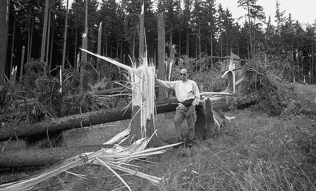 Obr. 11b Lesní polom mezi Milošovicemi a Velkou pasekou. Snímek levého okraje polomu. Západ je vlevo. Foto M. Setvák. Fig. 11b. Broken and uprooted trees between Milošovice and Velká Paseka.