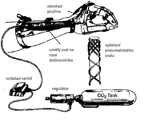 3 ÚVOD 3.1 Pneumatické svaly McKibbenův pneumatický sval je souhrnný a nejpouţívanější název pro pneumatické svaly s různými druhy opletení.