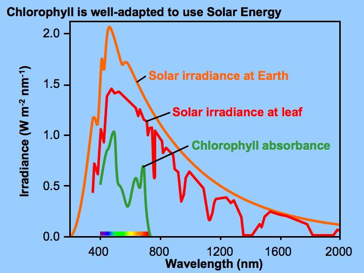 Sluneční záření UV < 400 nm
