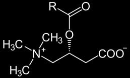 Vstup MK do matrix Acyl-oA prochází vnější mitochondriální membránou, ale ne vnitřní membránou MK opustí