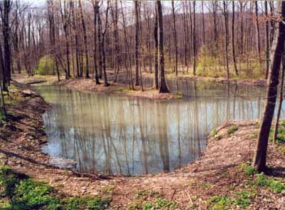 Čištění