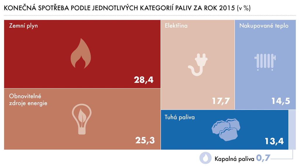 Struktura spotřeby paliv v domácnostech v roce 2015 (v %)