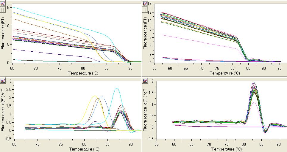 velikostí a denaturační analýza tedy odhalí ve vzorku dvě maxima fluorescence. Podobně denaturační analýza odhalí nespecifické amplifikace a dimery primerů. Obrázek 3: Ukázky denaturační analýzy.