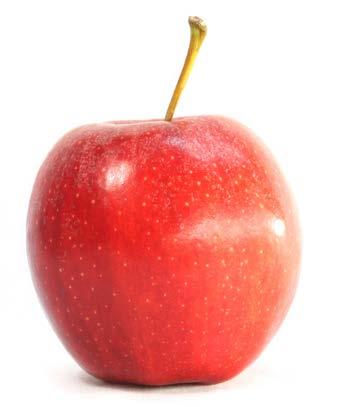 koukla na seznam připevněný na dveřích oznamující, že jedno menší jablko má 15 g sacharidů.