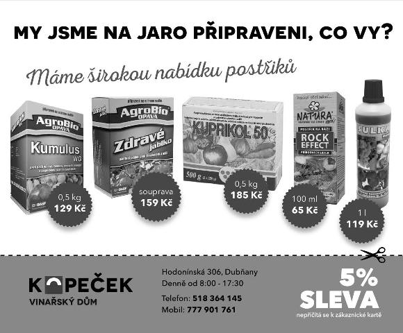 naštěstí téměř zaniklých odrůd révy vinné. I když, v poslední době jakoby se zase začínaly drát opět na světlo.