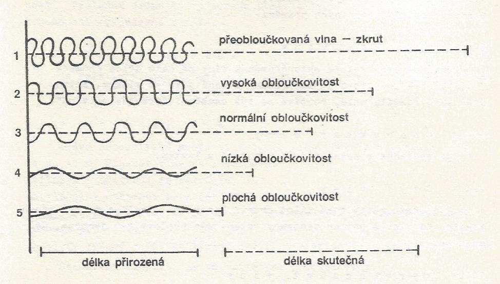 Na povrchu těla je vlna různě dlouhá nejdelší na kohoutku a hřbetě, nejkratší na spodní části těla a břiše (Horák F., a kol., 1989).