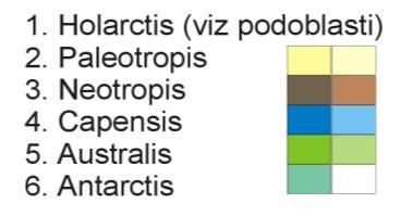 2015) Charakteristika zoogeografického členění zemského povrchu vychází zejména z