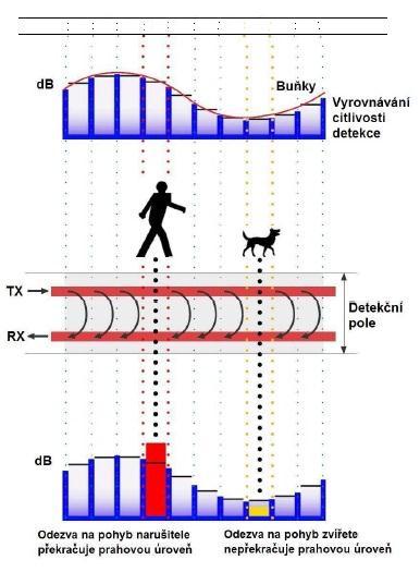 UTB ve Zlíně, Fakulta aplikované informatiky, 2011 53 Obr. 31 Princip přesné lokalizace pachatele a nastavení citlivosti systému.