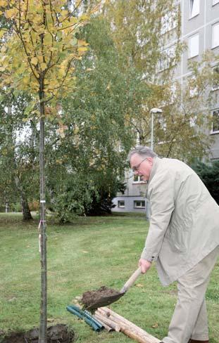 To bude určitě rychlejší cesta k tichu, než se trápit hlukem a přemýšlet o stříhání drátů. Ještě k Vaší krátké připomínce ohledně úrovně toalet. Považuji ji za velmi závažnou.