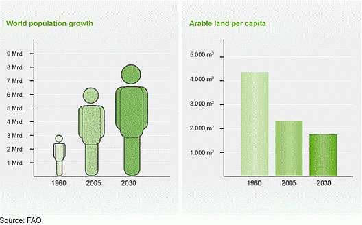 Světová populace a půda
