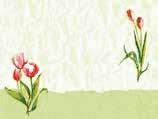 Až konečně rozkvetou tulipány a narcisy. A s nimi i váš stůl!