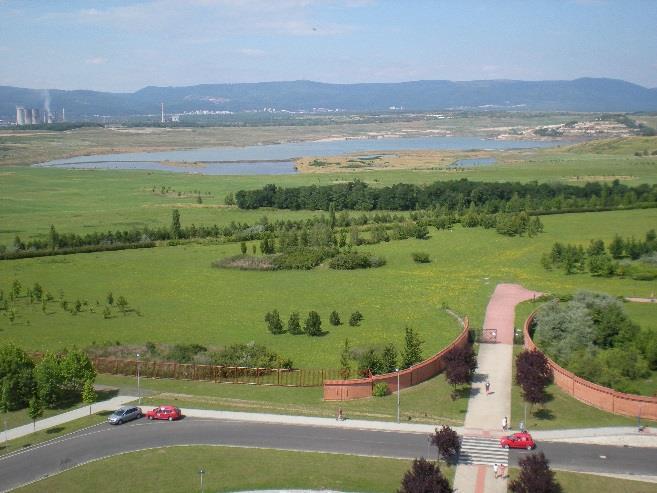 NADĚJE O.