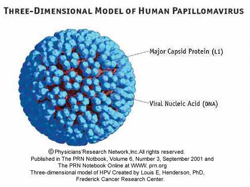 Lidský papilomavirus (HPV) Inaktivované podjednotkové vakcíny.