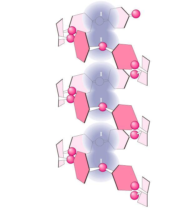 8. Polysacharidy, glykoproteiny a proteoglykany - PDF Free Download