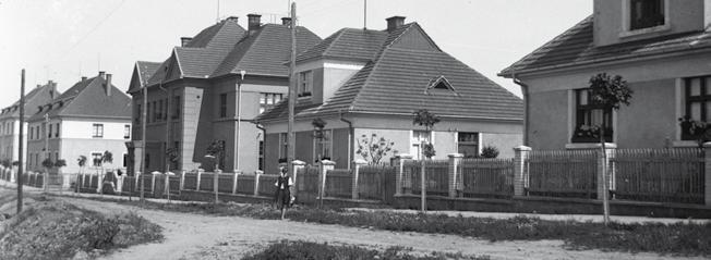 vícero dalších staveb: Čubova vila, domy dr.