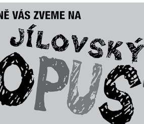 Periodický tisk územního samosprávného celku.