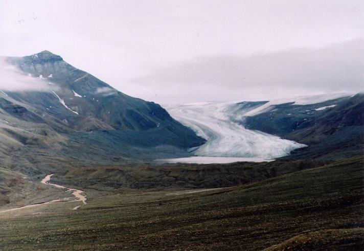glacial surge), subglaciální přítok tavné vody nebo naopak ústup čela ledovce.