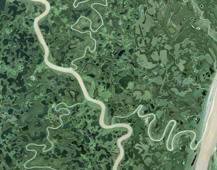 Obr. 18: Opuštěná říční ramena a jezera v nivě řeky Mackenzie. GoogleEarth 2014. vzniklých jezer následně vyplněných říční vodou.