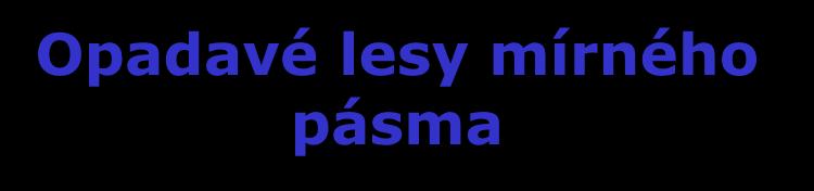 Opadavé lesy mírného pásma Opadavé lesy mírného pásma jsou tvořeny především listnatými stromy se sytě zelenými a měkkými lístky. Koncem roku opadávají a na jaře se tvoří listy nové.