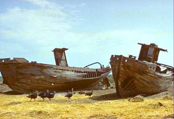 Aralské