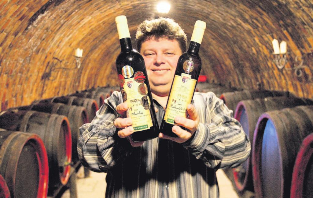 Zatímco jeho otec se vínu věnoval připráci,onpo návratu z výzkumného ústavu v Itálii odstartoval vinařství v roce 2003 ve Svatobořicích naplno. Dnes nabízí přes pětadvacet odrůd.