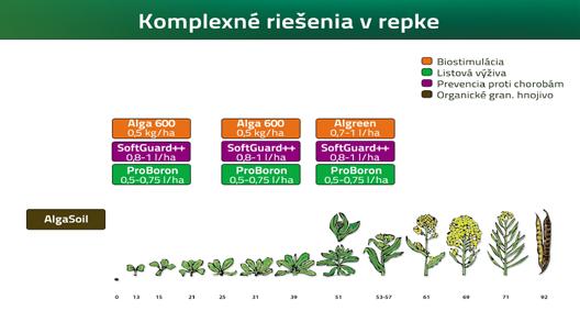 / Inzercia Efektívna výživa a stimulácia repky Nárast osevných plôch repky ovplyvňuje jej trhový charakter, pretrvávajúca svetová konjuktúra výroby, prienik do technickej oblasti krmivárstva,