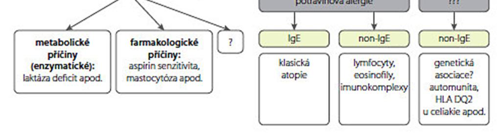 Potravinová alergie má imunologický podklad a může se prakticky projevit všemi pěti typy imunopatologických reakcí.